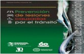Prevención de lesiones Manual de capacitaciónF3n.pdfde otros sectores, que se ocupan de la prevención de los traumatismos causados por el tránsito. Estructura y contenido Este
