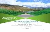SECTOR AGRICULTURA - Gob · Memoria Anual 2016 – Ministério de Agricultura y Riego 8 rural la reducción ha sido de -12.3 p.p. para el periodo 2016/2011 y en la sierra rural la