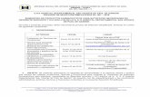 E.S.E HOSPITAL DEPARTAMENTAL SAN VICENTE DE PAUL DE GARZÓN PROCESO DE …hospitalsvpgarzon.gov.co/documentos/Contratacion/3... · 2019-07-05 · recibo de las propuestas del presente