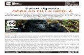 Safari Uganda GORILAS EN LA NIEBLAtheafricanexperiences.com/data/downloads/Uganda_Salida_en_grup… · El Gorila Trekking es una actividad para la que hay que tener una cierta fortaleza