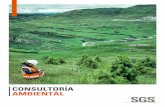 SGS - Brochure Consultoria Ambiental - Final200.48.195.199/MKTMailing/SGS-ConsultoriaAmbiental.pdf · Informes de evaluación de la Calidad Ambiental de Suelos según el DS N°011-2017