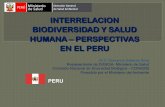 INTERRELACION BIODIVERSIDAD Y SALUD HUMANA – …La Campaña “Medio millón de Cocinas Mejoradas por un Perú sin Humo”, constituye la implementación de un proyecto de desarrollo