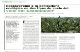 Reconversión a la agricultura valle uel GLadalumvir€¦ · Dosis aplicada de fertilizantes orgánico e inorgánico en cada ciclo de cultivo. Cuadro II. Características químicas