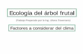 Ecología del árbol frutal - FCAyF - UNLP · Vientos fuertes de un sector: originan “árbol bandera” Las formas de conducción influyen en el comportamiento de los flujos del