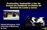 Producción, Evaluación y Uso de Granos De Destilería en ... · Granos De Destilería en Dietas de Bovinos de Leche y Carne Alfredo DiCostanzo, Ph.D. University of Minnesota, St.
