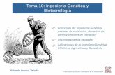 Tema 10: Ingeniería Genética y Biotecnología · Genes cry de Bacillus thurigiensis y su aplicación en la obtención de plantas resistentes a insectos Universidad de Alcalá Patrimonio