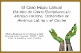 El Caso Mapu Lahuald2ouvy59p0dg6k.cloudfront.net/downloads/5_el_caso_mapu_lahual_… · El buen manejo forestal es una potente práctica de conservación y está contribuyendo a mitigar