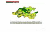 ORDENAMIENTO ECOLÓGICO TERRITORIAL ESTADO DE HIDALGO201.99.98.88/documentos/Estatal/Diagnostico_Pronostico_Estatal.pdf · El potencial forestal, en general, en el Estado de Hidalgo