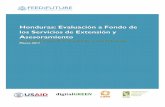 Honduras: Evaluación a Fondo de los Servicios de Extensión ......Sector Agroalimentario y las Zonas Rurales 2004-2021 y el Plan Estratégico del Gobierno 2014-2018 (El Plan de Todos