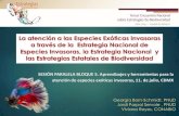 La ENEI, las Estrategias de Biodiversidad Estatales y la ...€¦ · Estrategia Nacional sobre Biodiversidad de México y ... conservación de la biodiversidad para la erradicación