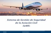 Sistema de Gestión de Seguridad de la Aviación …...2019/09/18  · Programa Nacional de Gestión de Seguridad de la Aviación Civil Gestión de amenazas y riesgos. Supervisión