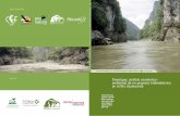 Tenosique: análisis económico- ambiental de un proyecto ... · Tenosique: análisis económico-ambiental de un proyecto hidroeléctrico en el Río Usumacinta israel amezcua [Pronatura