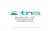 MANUAL DE TESORERIA - EGRESOS · Manual de Usuario Visual TNS – Tesorería - Egresos Versión 2020. Página 12 En Documentos: En Comprobantes de Pago: Botón Vista Detalle – Vista