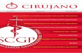 CIRUJANO - SCGPCIRUJANO Revista de la Sociedad de Cirujanos Generales del Perú Vol. 16 N 1 MARZO 2019 ISSN: 1817-4450 SCGP. Sociedad de Cirujanos Generales del Perú Dirección: Av.