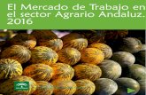 El Mercado de Trabajo en el sector Agrario Andaluz. 2016 · de Andalucía) del Servicio Andaluz de Empleo elabora de nuevo el estudio “El Mercado de Trabajo en el Sector Agrario