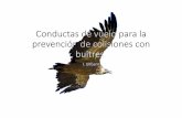 05 FUENTEMILANOS Conductas de vuelo para la prevención de colisiones · 2020-03-18 · CONDUCTAS DE VUELO PARA LA PREVENCION DE COLISIONES CON BUITRES. En España, los buitres son