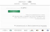 GPC - Juntos Contra el Cáncerjuntoscontraelcancer.mx/jcc/wp-content/uploads/... · cie-10:c53 tumor maligno del cuello del Útero, d06 carcinoma in situ del cuello del Útero cie-9mc:68.6