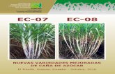 EC-07 EC-08 - CINCAEcincae.org/.../2013/05/Plegable-Variedades-EC-07-y-EC-08.pdf · - 4 - La variedad EC-08 se caracteriza por su alto contenido de azúcar y maduración temprana