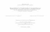 Nanohilos y nanotubos magnéticos.ricabib.cab.cnea.gov.ar/75/1/1Curiale.pdfNanohilos y nanotubos magnéticos. Preparación, caracterización microestructural y estudio de las propiedades