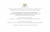 IMPLEMENTACIÓN DE UN SISTEMA …...Centro de Investigación Científica de Yucatán, A.C. Posgrado en Ciencias en Energía Renovable IMPLEMENTACIÓN DE UN SISTEMA ELECTROQUÍMICO