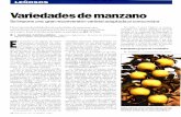Variedades de manzano · 2007-09-07 · Variedades de manzano Se impone una gran reconversión varietal adaptada al consumidor Descripción detallada de las variedades de manzano