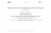 ANÁLISIS DE COSTES DEL PROGRAMA DE MANTENIMIENTO DE ...bibliodrogas.cl/biblioteca/documentos/TRATAMIENTO_ES_6615.pdf · Análisis de costes del programa de mantenimiento de metadona