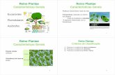Reino Plantae Características Gerais · 2016-05-16 · Eucariontes Reino Plantae Características Gerais 3 Pluricelulares Autótrofos Realizam fotossíntese: base da vida Fotossíntese