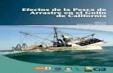 Efectos de la Pesca de Editores Juana López Martínez ... · Más aún, es claro que, tal como sucede para otras actividades primarias, el tema de los efectos de la pesca en los