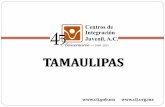 Presentación de PowerPointingreso a tratamiento en los CIJ del Estado de Tamaulipas 1990-2004 primer semestre. (N= 1,730) Fuente: Estudios epidemiológicos de pacientes atendidos
