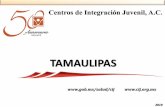 Presentación de PowerPoint - Gob · Libertad. C.P. 87019 Cd. Victoria, Tamaulipas Tels. (834) 135 11 41 y (834) 135 11 49 cijvictoria@cij.gob.mx CIJ Tampico Privada Cuauhtémoc No.