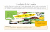 Ensalada de la Huerta - dietistasynutricion.com · aguacate, frutos secos y aceitunas. No te limites sólo a la lechuga, tomate y pepino, pues te resultará sosa y aburrida. Puedes