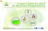 Conservación Ex Situ de Recursos FitogenØticos · VEN-526. Alternativas para almacenar y conservar el germoplasma. ... • Variedad de formas, materiales y tamaños • Deben ser