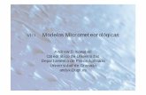 Modelos Micrometeorológicas - Universidad de Granadaandyk/Docencia/Micromet/08.pdf• Mitad de la capa límite: Kx ~ 102 m2s-1 • Para mantener un flujo cte, – Los gradientes tienen