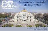 Desarrollo exportador de las PyMEs · 2018-07-11 · DGA DE FOMENTO Garantía Comercio Exterior Garantía al Intermediario Financiero en el Extranjero para cubrir el riesgo de incumplimiento