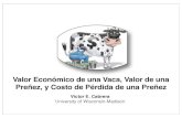 Valor Económico de una Vaca, Valor de una Preñez, y Costo ...€¦ · Variables económicas de la granja Precio de leche Costo de alimento Costo de reproducción Costo de un remplazo