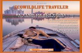 Nº 2 ABRIL 2019 ECOWILDLIFE TRAVELER...Durante el día muchos novios, desde la cercana orilla de las Isla Vasilieski, se fotografían y sueltan palomas blancas con el marco in-comparable