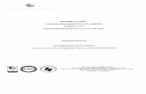 INFORME AUDIBAL CONTRALORIA MUNICIPAL DE ARMENIA … Informe... · entidad contable pública para la construcción de bienes de uso público en la modalidad de contratos de concesión,