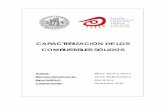 CARACTERIZACIÓN DE LOS COMBUSTIBLES SÓLIDOSzaguan.unizar.es/record/5357/files/TAZ-PFC-2010-348.pdf · Caracterización de los combustibles sólidos La demanda de energía de la