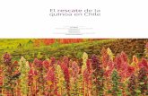 El rescate de la quínoa en Chile - INIAbiblioteca.inia.cl/medios/biblioteca/ta/NR40342.pdf · Chile tiene notables ventajas respecto de la quínoa debido a múltiples factores y