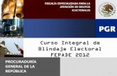 Blindaje Electoral FEPADE 2012 - PEMEX | Por el rescate de ...€¦ · 5 Delitos electorales federales y locales. Cuestionario final. CURSO INTEGRAL DE BLINDAJE ELECTORAL 2012 3 .