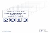 ACCIONES DE PREVENCIÓN DE RIESGOS LABORALES 2013contenidos.ceoe.es/PRL/var/pool/pdf/cms_content_documents-file-6… · Las acciones correspondientes a las convocatorias de 2012 de