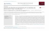 EVISTA ARGENTINA DE MICROBIOLOGÍA · 2017-01-13 · Aislados rizoféricos de Bacillus promueven el crecimiento de Mammillaria spp. 335 Figura 1 Coryphantha radians (izquierda) y