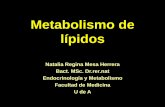 Metabolismo de lípidosmedicina.udea.edu.co/emd/metabolismo/lipidos/LIP-2-2010-2.pdf · Metabolismo de lípidos Natalia Regina Mesa Herrera Bact. MSc. Dr.rer.nat ... Acilación de