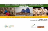 HONGOS COMESTIBLES DE BOSQUES CAJAMARQUINOS PARA …agrominperu.com/publicaciones/2018/junio/5... · aprovechamiento de hongos comestibles en 588 has. 29,806 kg de hongos secos de