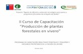 II Curso de Capacitación Producción de plantas forestales ...asisma.cl/adef/wp-content/uploads/2016/01/II.1... · Es una herramienta de la ciencia forestal o silvicultura que permite