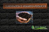 Presentación de PowerPointjeabiotech.com/archivos/fulvicos/substancias-humico-fulvicas.pdf · mitiga los efectos de la salinidad del suelo ) 4.- modifica la estructura de los suelos