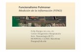 Funcionalismo PulmonarFuncionalismo Pulmonar Medición de la inflamación (FENO) Felip Burgos PhD, MSc, RNCentro Diagnóstico Respiratorio Serv. Neumología (ICT) HOSPITAL CLÍNIC