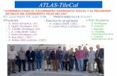 ATLAS-TileCal - Universitat de Valènciaific.uv.es/~fiorini/forCarlos/for_Carlos_TileCal_2018.pdf · L. Fiorini: ATLAS TileCal speaker committee Chair 2 PhD Thesis: D. Álvarez, “Measurement