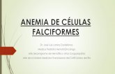 ANEMIA DE CÉLULAS FALCIFORMES · La anemia falciformes es la hemoglobinopatía estructural mas frecuente a nivel mundial. Es una patología de herencia autosómica recesiva, en donde