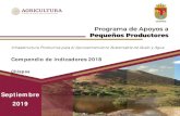 Compendio de indicadores 2018 - gob.mx€¦ · Dr. Rutilio Escandon Cadenas Gobernador Constitucional del Estado Dr. Salvador Fernández Rivera Coordinador General de Desarrollo Rural